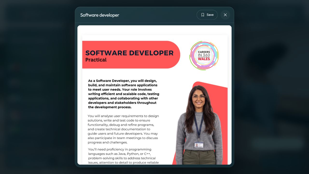 An interactive software developer profession profile